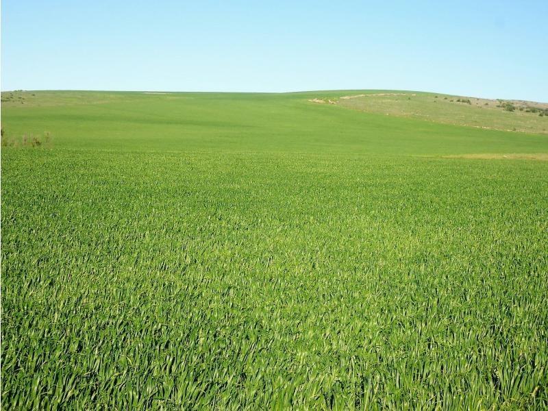 1 Ingram Gap Road, Redhill SA 5521