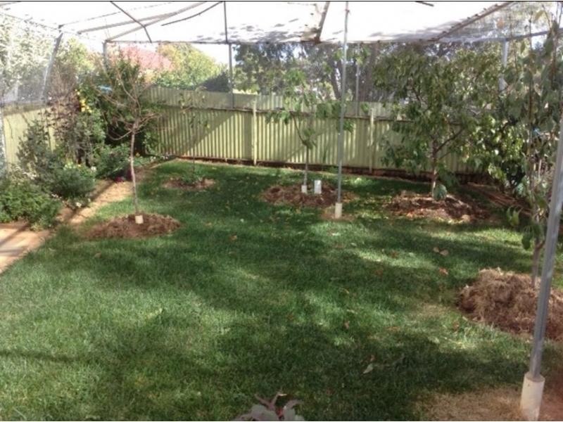 8 Collins Street, Jamestown SA 5491