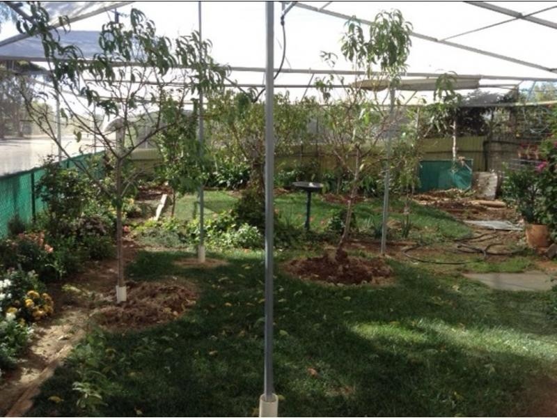 8 Collins Street, Jamestown SA 5491