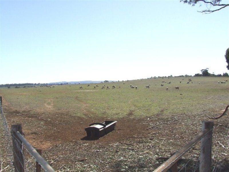 Lot 267E and 267W Collins Road, Murray Town SA 5481