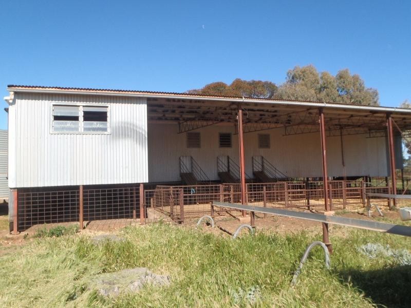 553 Old Reservoir Road, Canowie Belt SA 5420