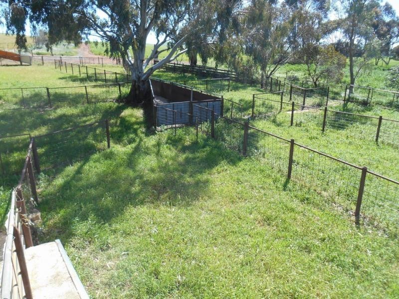 553 Old Reservoir Road, Canowie Belt SA 5420