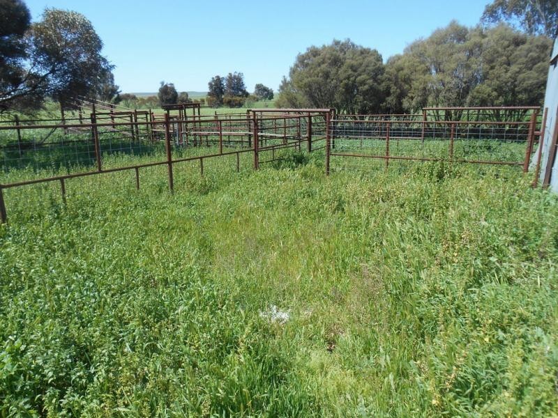 553 Old Reservoir Road, Canowie Belt SA 5420