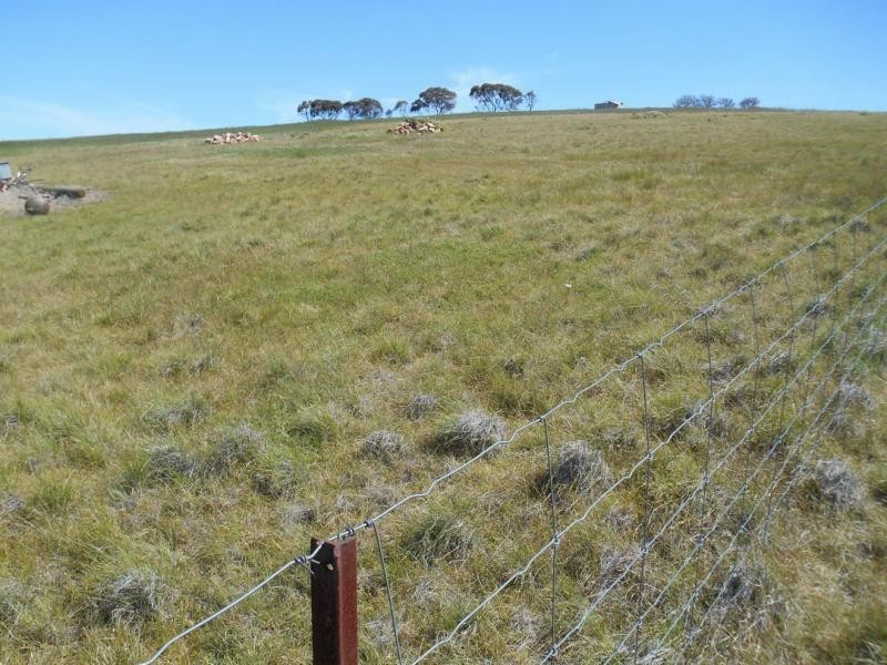 553 Old Reservoir Road, Canowie Belt SA 5420