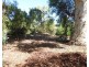 648 Railway Terrace, Bungama SA 5540
