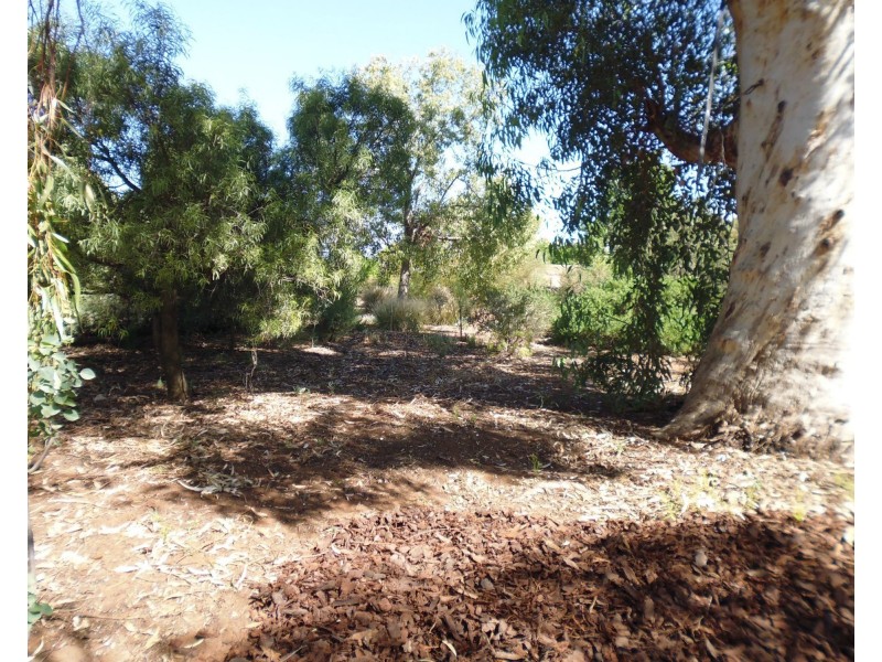 648 Railway Terrace, Bungama SA 5540