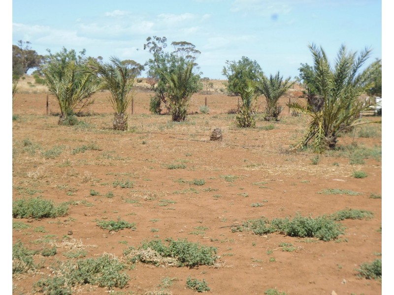 648 Railway Terrace, Bungama SA 5540