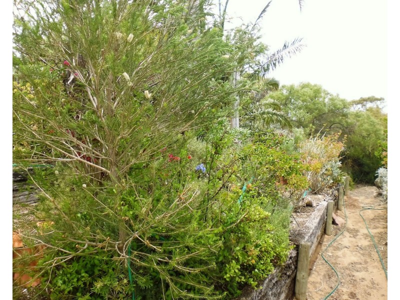 8 Kerley Street, Port Broughton SA 5522