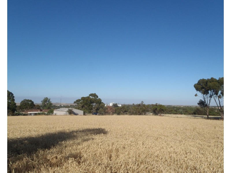 Lot 3 Clement Street, Crystal Brook SA 5523