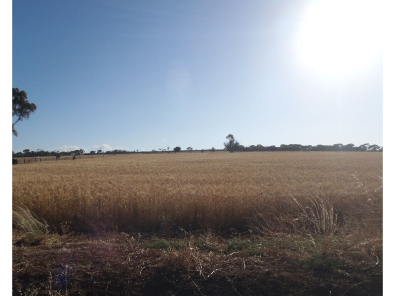 Lot 3 Clement Street, Crystal Brook SA 5523