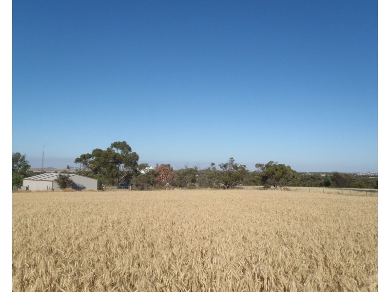 Lot 3 Clement Street, Crystal Brook SA 5523