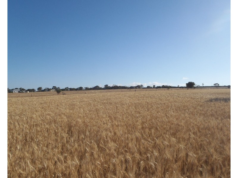 Lot 3 Clement Street, Crystal Brook SA 5523