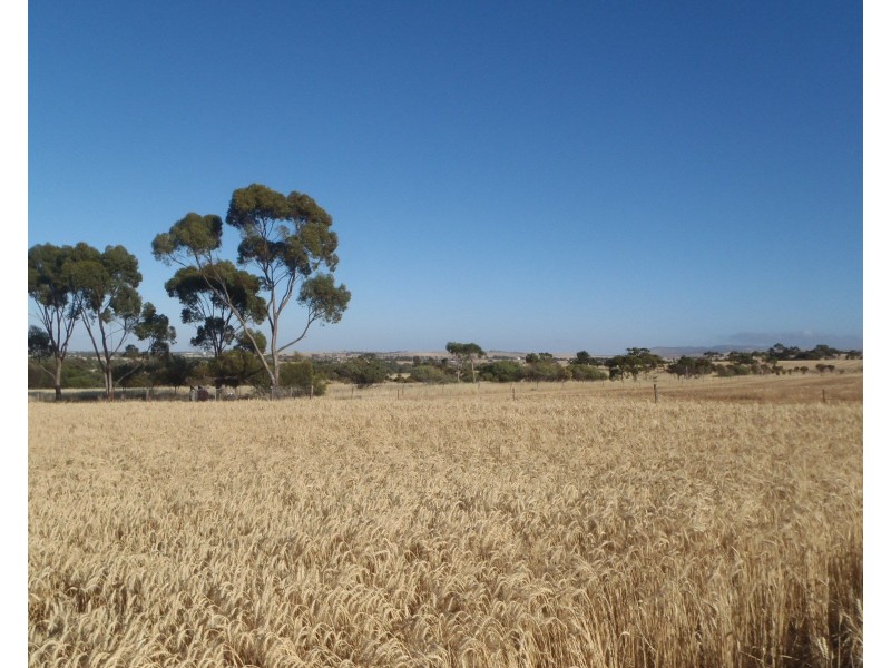 Lot 3 Clement Street, Crystal Brook SA 5523