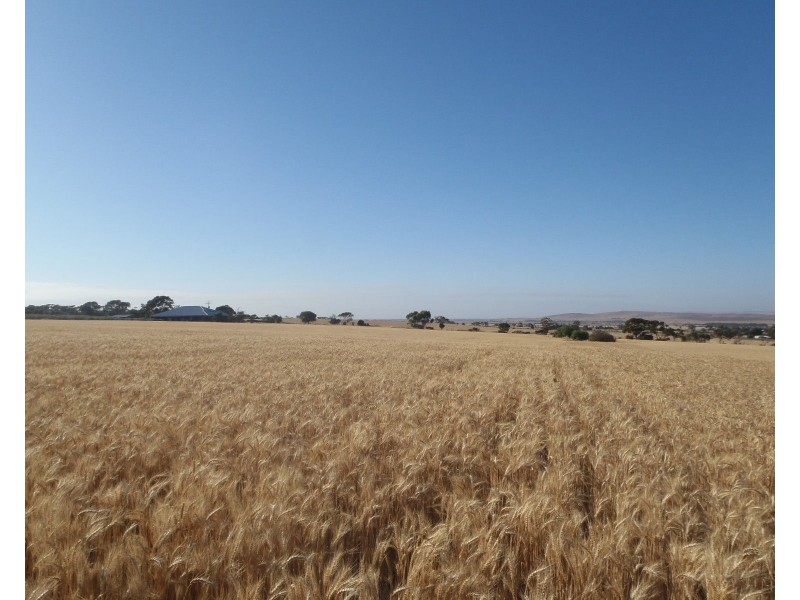 Lot 3 Clement Street, Crystal Brook SA 5523