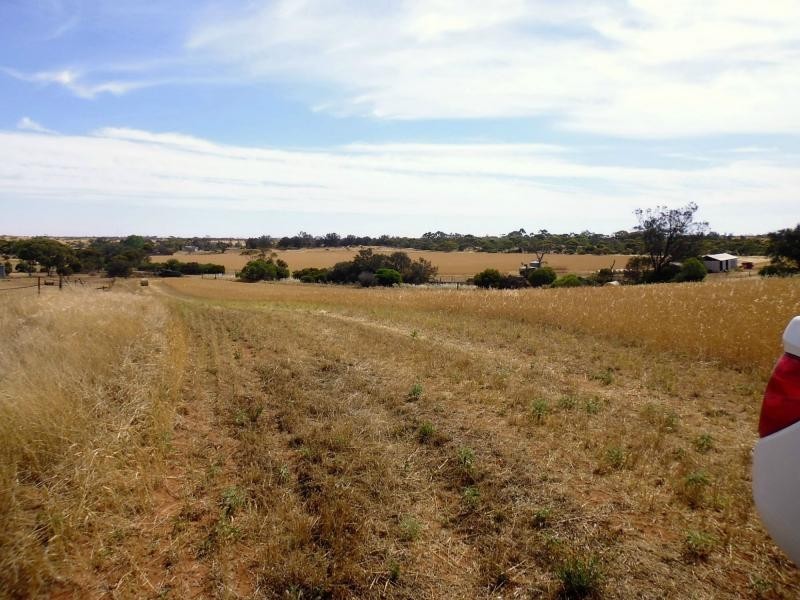 220, 240, 241, 246, 247 & 1035 HOBBS Road, Port Broughton SA 5522