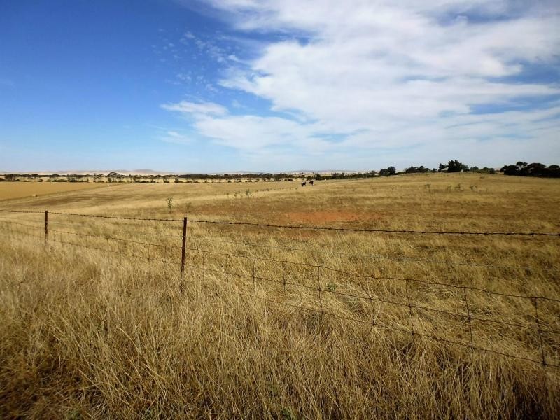 220, 240, 241, 246, 247 & 1035 HOBBS Road, Port Broughton SA 5522