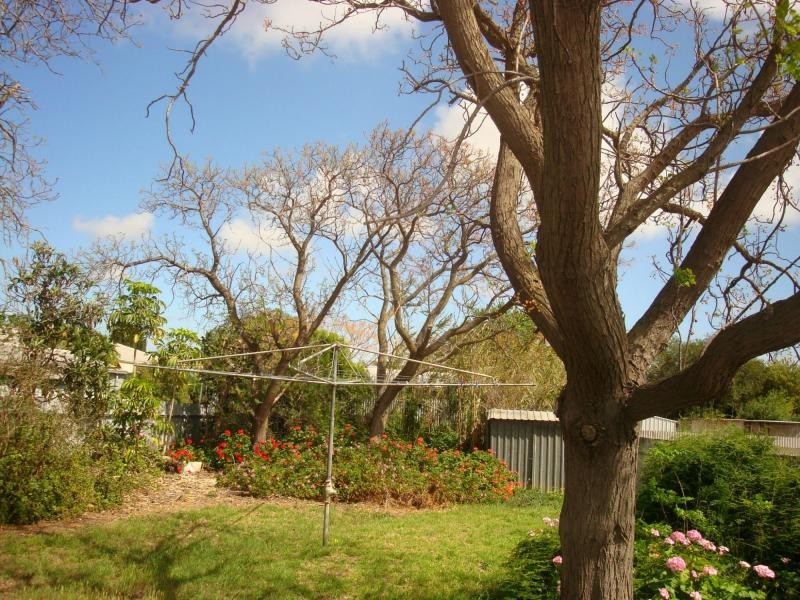 20 Hutchinson Street, Port Pirie SA 5540