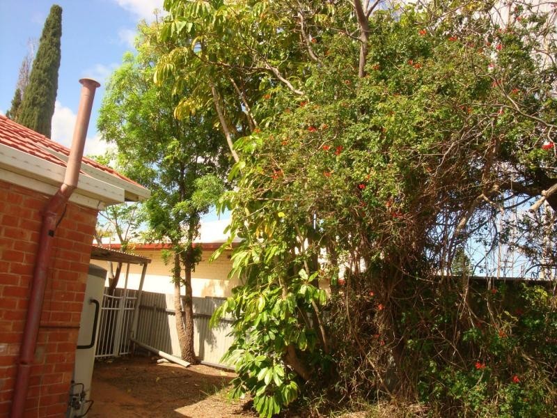 20 Hutchinson Street, Port Pirie SA 5540