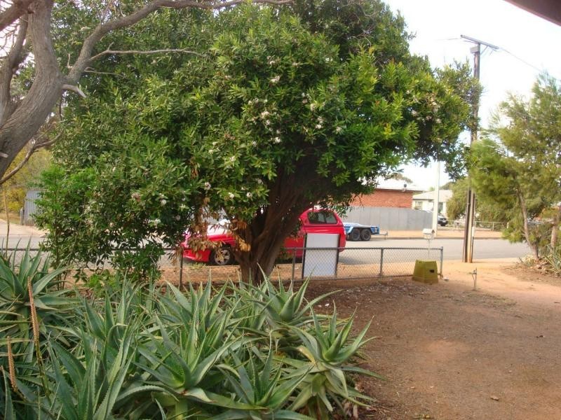 20 Hutchinson Street, Port Pirie SA 5540