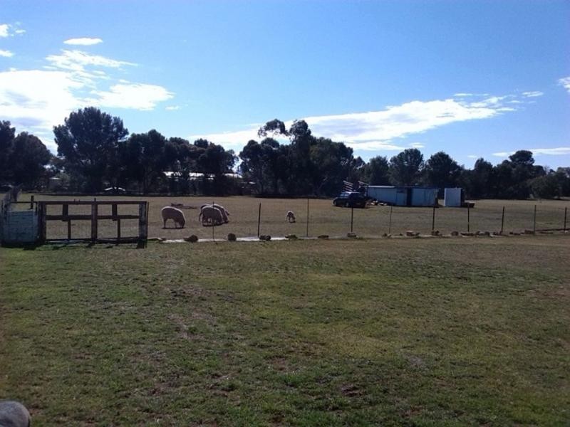 546 Third Street, Yongala SA 5493
