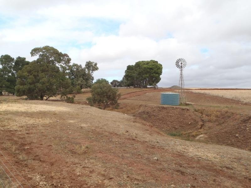 87 Gunders Hill View, Hornsdale SA 5491