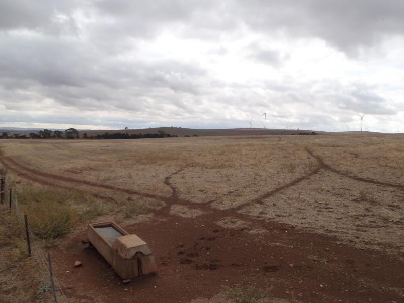 87 Gunders Hill View, Hornsdale SA 5491