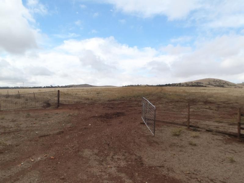 87 Gunders Hill View, Hornsdale SA 5491