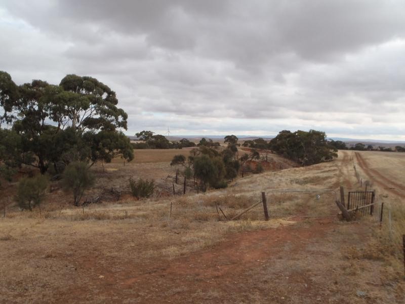 87 Gunders Hill View, Hornsdale SA 5491