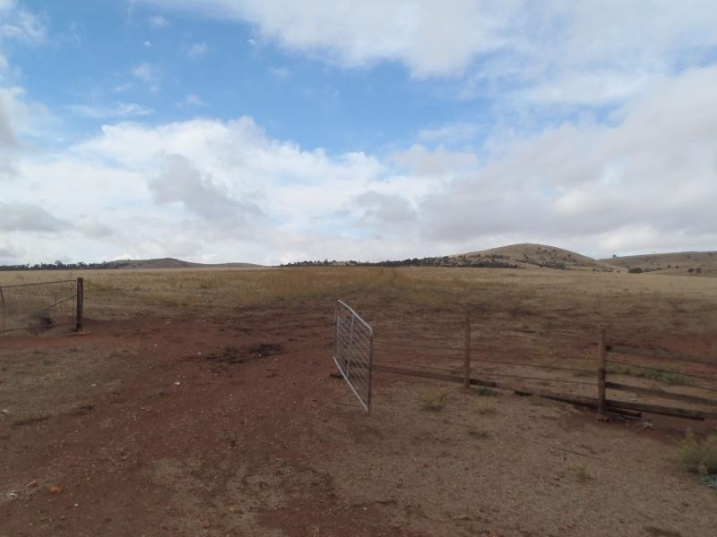 87 Gunders Hill View, Hornsdale SA 5491