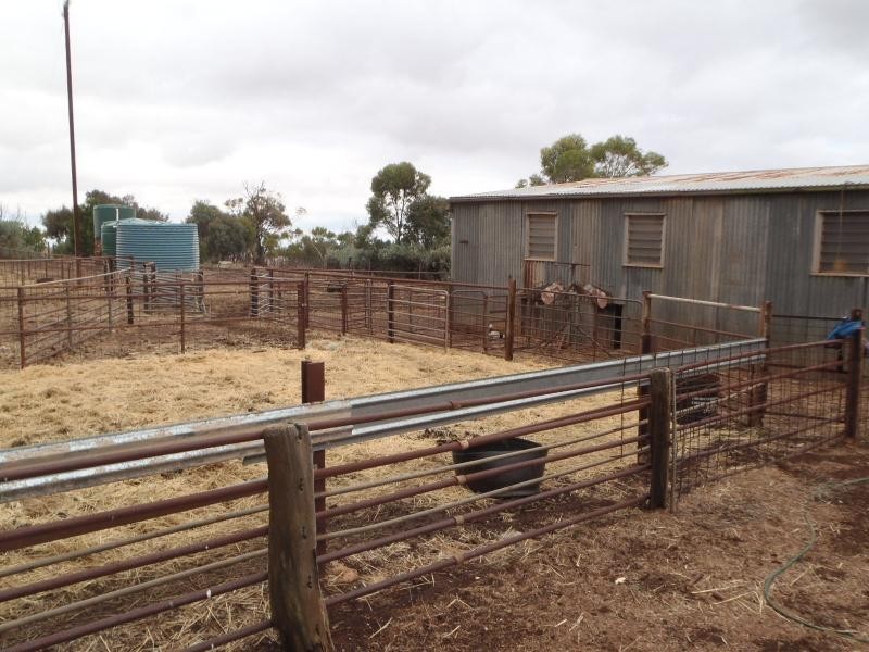 87 Gunders Hill View, Hornsdale SA 5491