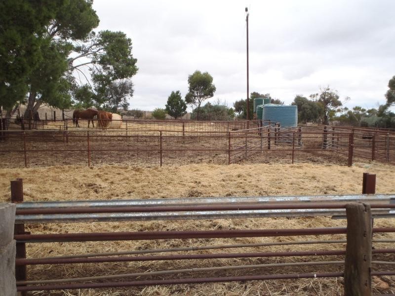 87 Gunders Hill View, Hornsdale SA 5491