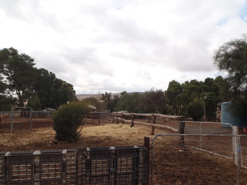 87 Gunders Hill View, Hornsdale SA 5491
