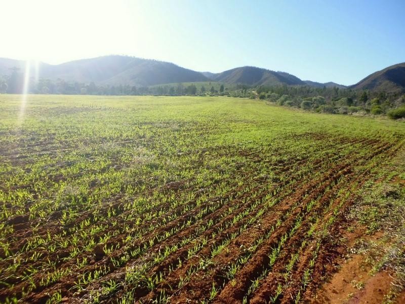 Sec 402 & 93 Scenic Drive, Telowie SA 5540