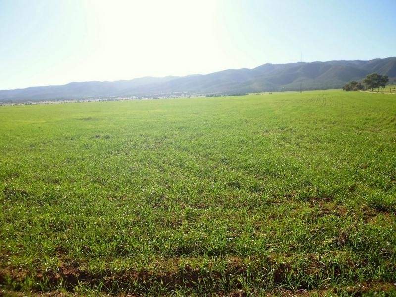 Sec 402 & 93 Scenic Drive, Telowie SA 5540