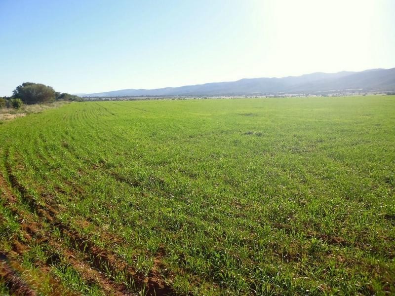 Sec 402 & 93 Scenic Drive, Telowie SA 5540