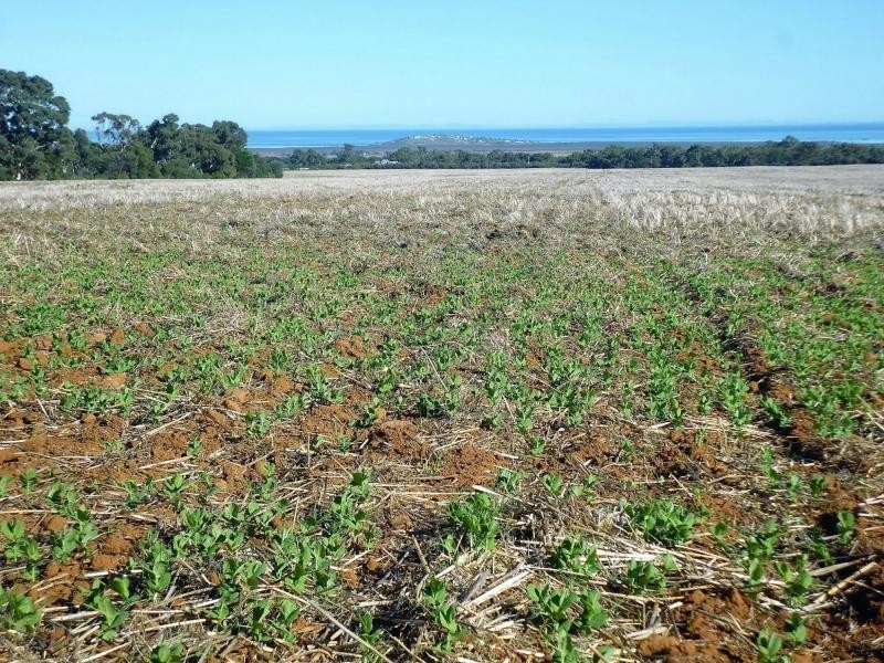 Sec 402 & 93 Scenic Drive, Telowie SA 5540