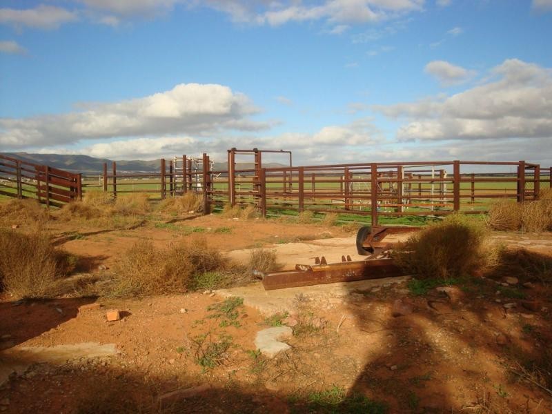 375 Gulf View Road, Napperby SA 5540