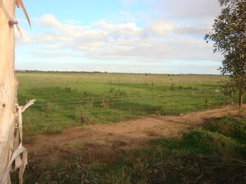 375 Gulf View Road, Napperby SA 5540