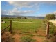 375 Gulf View Road, Napperby SA 5540