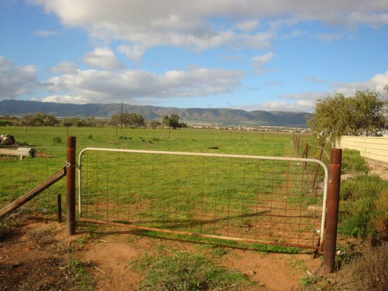 375 Gulf View Road, Napperby SA 5540