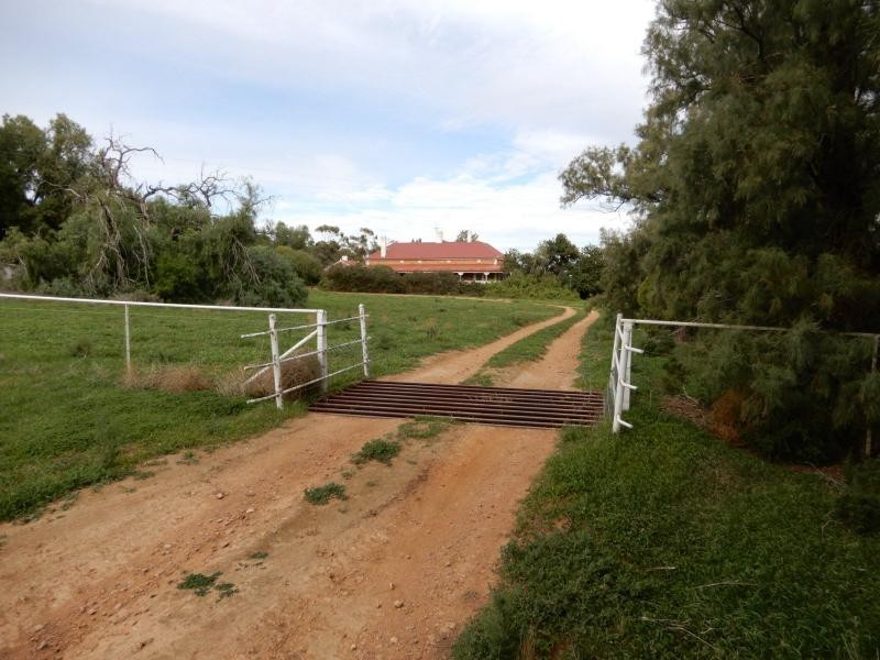 L1 Scenic Drive, Telowie SA 5540