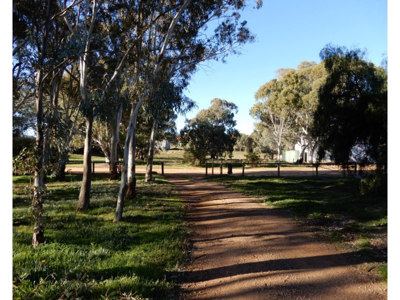 3 Redgum Street, Wirrabara SA 5481