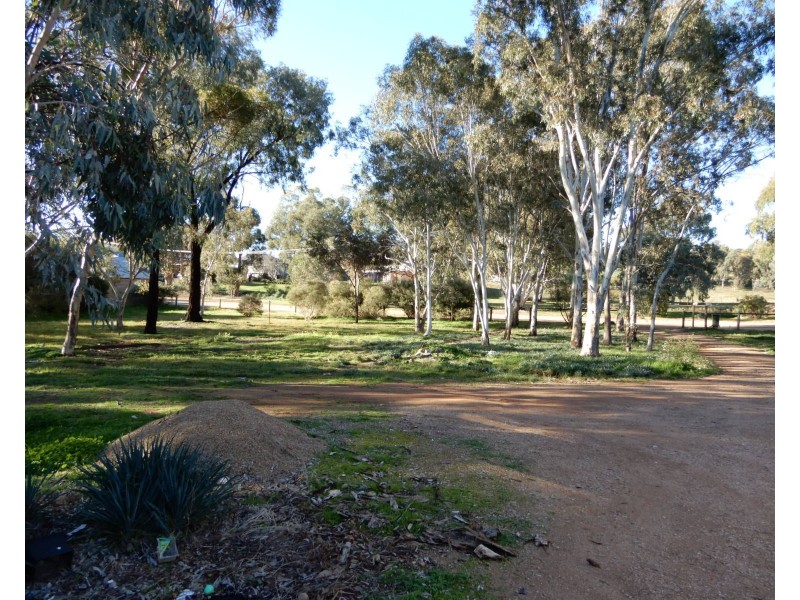 3 Redgum Street, Wirrabara SA 5481