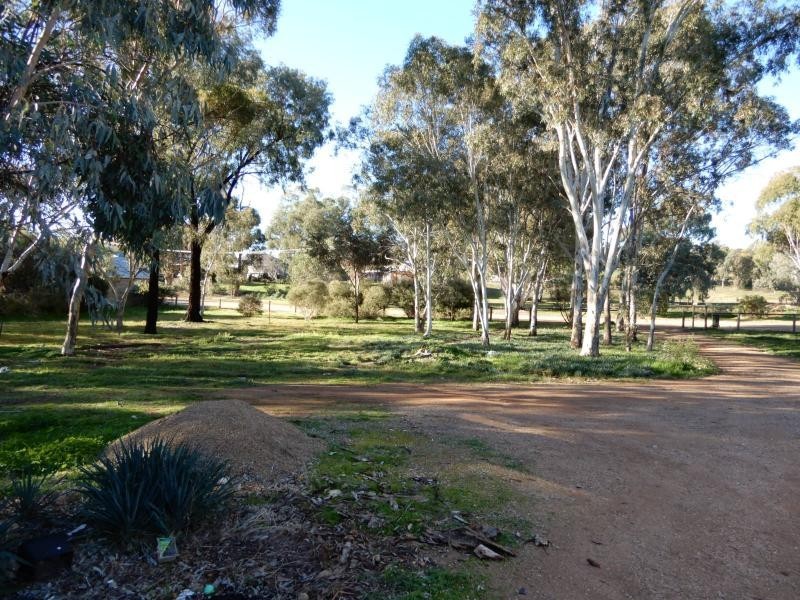 3 Redgum Street, Wirrabara SA 5481