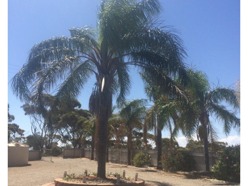 5915 Spencer Highway, Port Broughton SA 5522