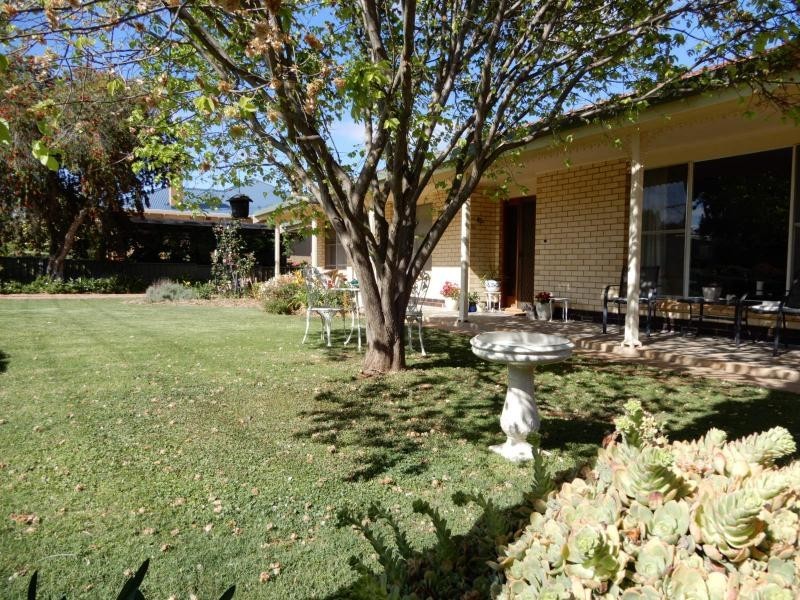 20 Avice Street, Booleroo Centre SA 5482