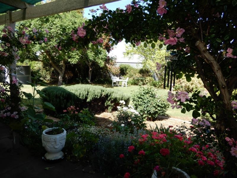 20 Avice Street, Booleroo Centre SA 5482