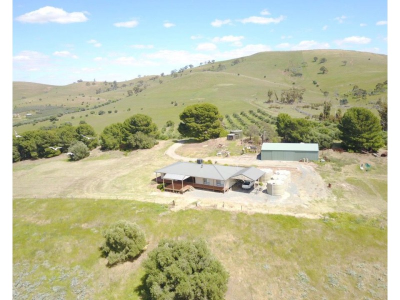 78 Wehrmann Road, Bundaleer Gardens SA 5491