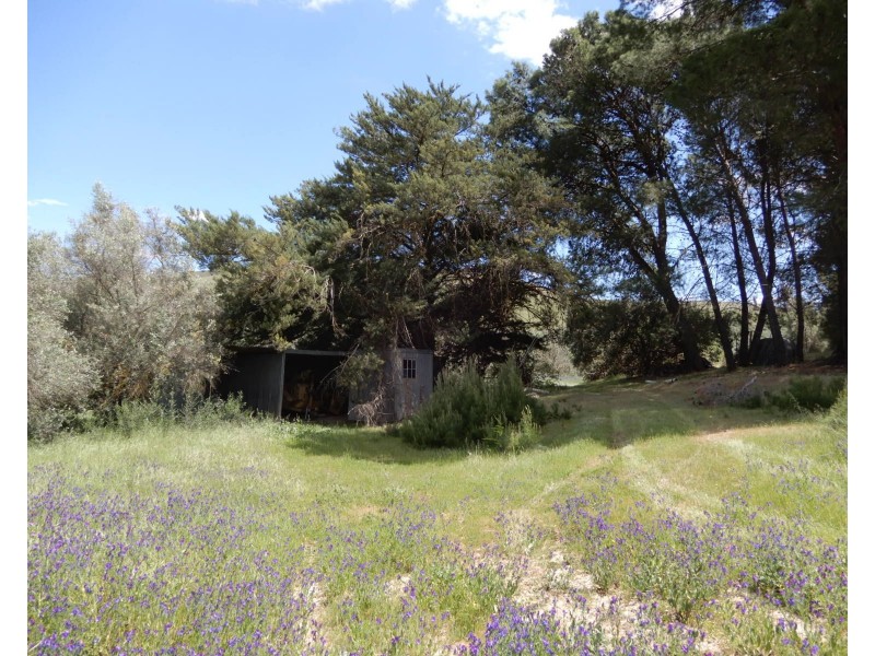 78 Wehrmann Road, Bundaleer Gardens SA 5491