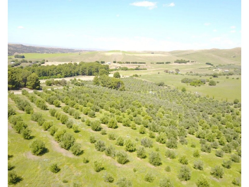 78 Wehrmann Road, Bundaleer Gardens SA 5491